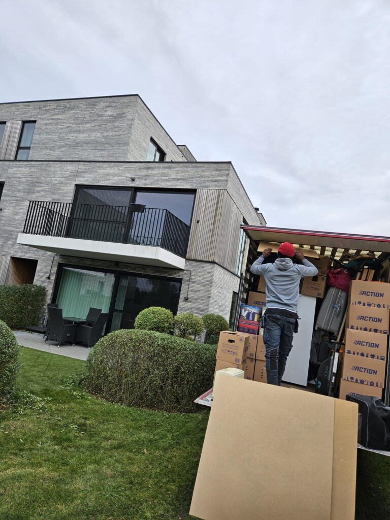 Moving company: Tiny movings relocating and unpacking